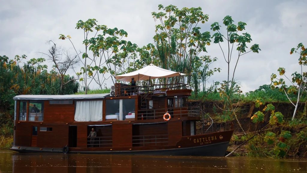 amazon cruise